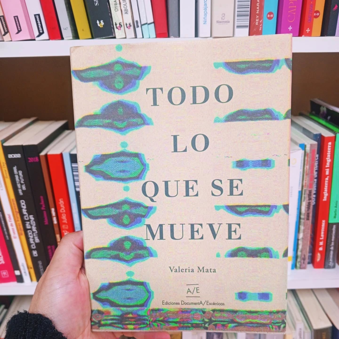 Desplazar la mirada: Valeria Mata y el equilibrio en lo errante